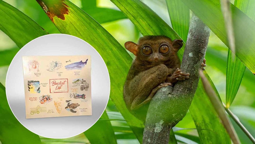 Sehnsuchtsziel Philippinen