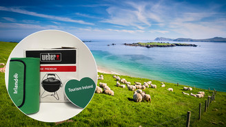 Picknick-Set im Irland-Style