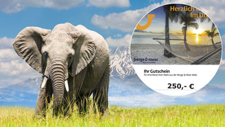 250 Euro für die nächste Reise