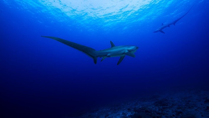 Exotische Vielfalt jenseits der bekannten Routen